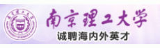 南京理工大学材诚聘高层次人才